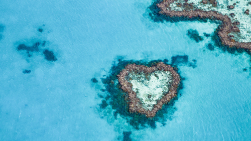 Fly & Raft Southern Whitehaven Beach Day Tour from Airlie Beach - Zero Trace Tours