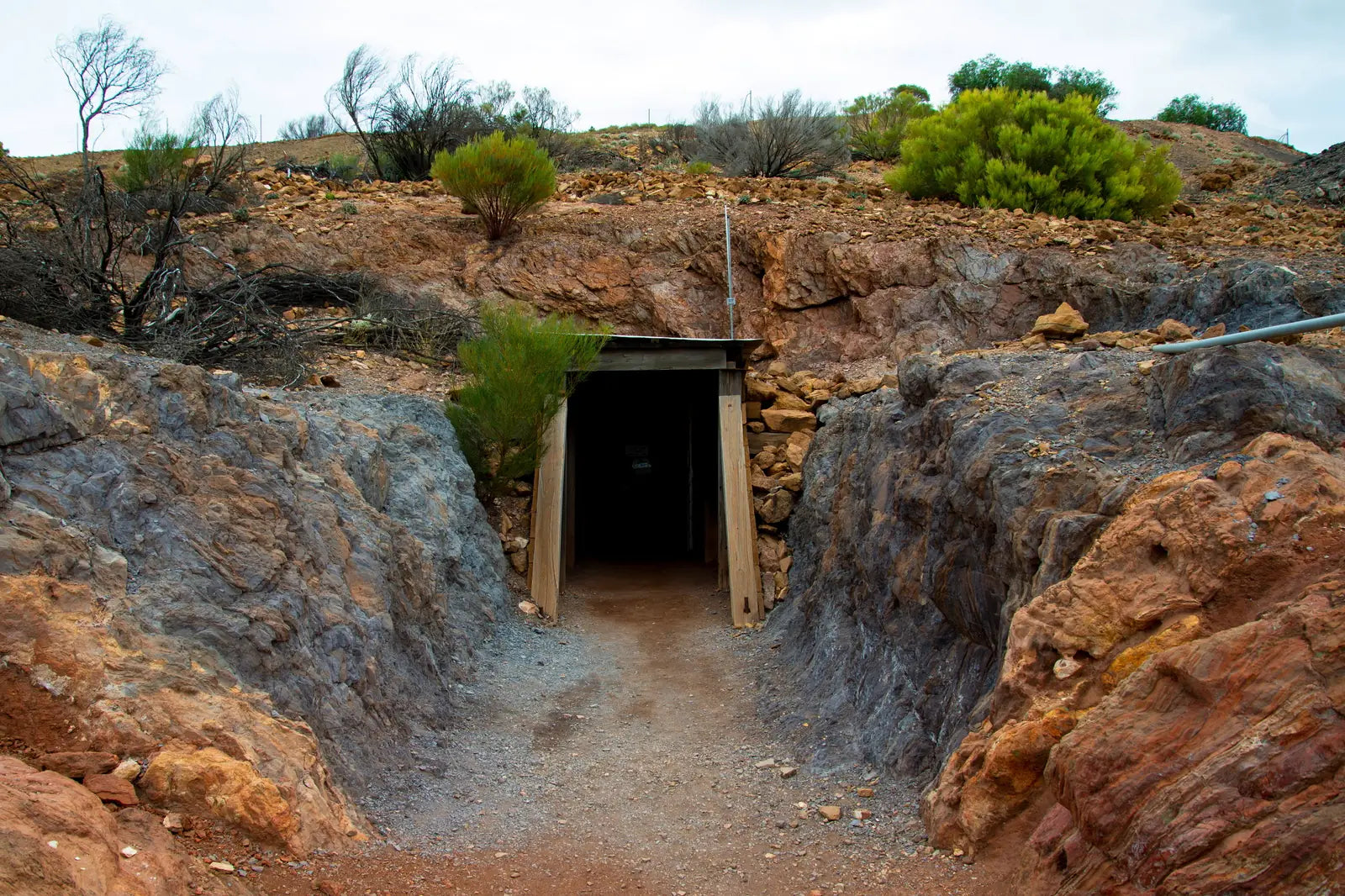 7 Day Adelaide to Kati Thanda-Lake Eyre Small Group Eco Safari - Zero Trace Tours