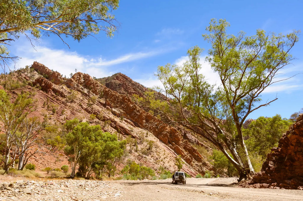 7 Day Adelaide to Kati Thanda-Lake Eyre Small Group Eco Safari - Zero Trace Tours