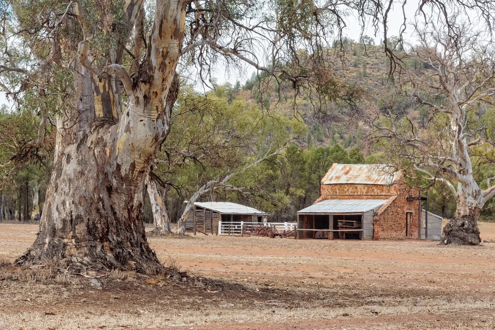 7 Day Adelaide to Kati Thanda-Lake Eyre Small Group Eco Safari - Zero Trace Tours