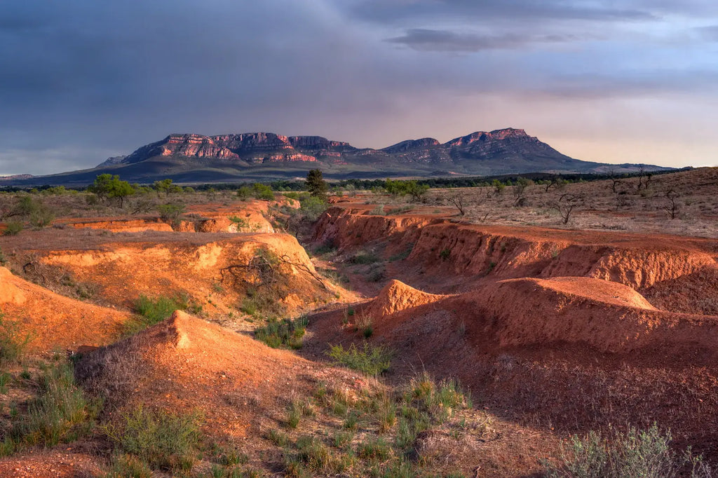 7 Day Adelaide to Kati Thanda-Lake Eyre Small Group Eco Safari - Zero Trace Tours
